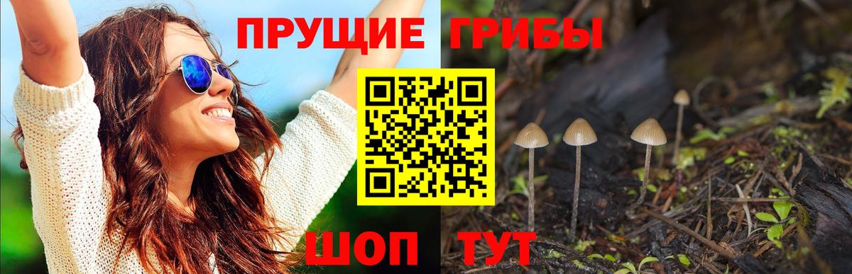 Галлюциногенные грибы мицелий Мурино
