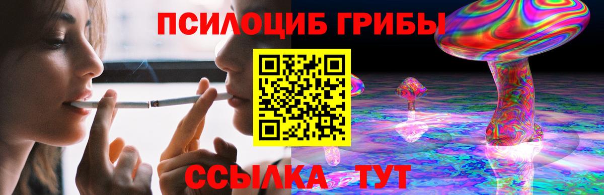 купить наркоту  Вход с VPN  Мурино  Псилоцибиновые грибы Psilocybe 